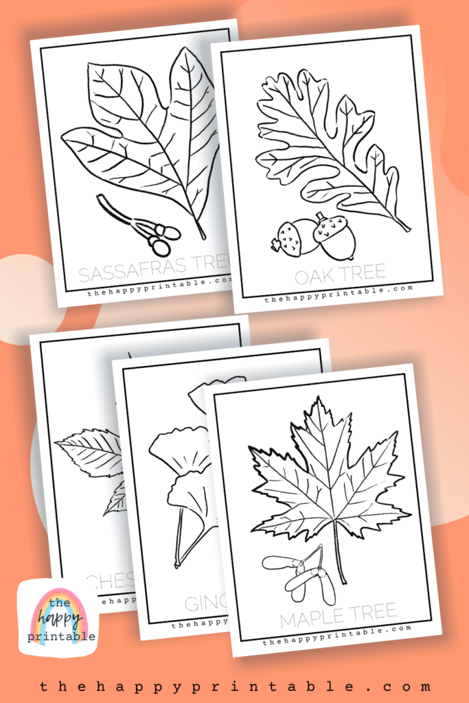 chestnut tree leaf coloring pages