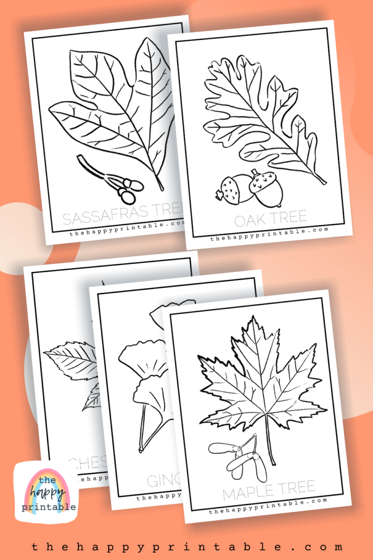 Printable Leaf and Seed Coloring Pages | The Happy Printable