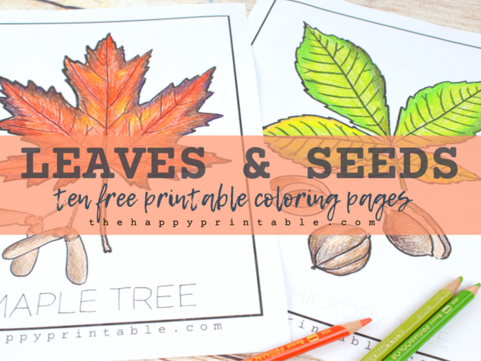 Printable Leaf and Seed Coloring Pages | The Happy Printable