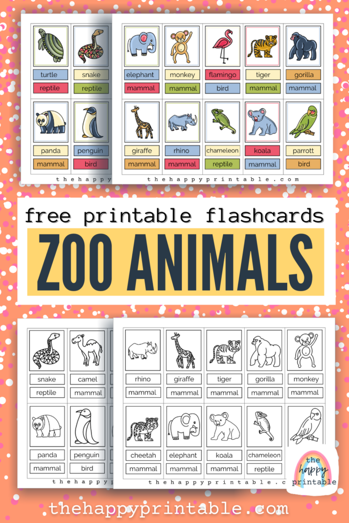 20 hand drawn free printable zoo animal flashcards in black and white and full color