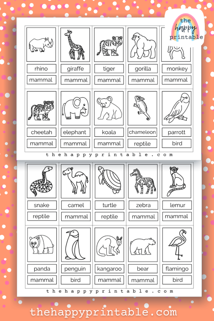 20 black and white zoo animal printable flash cards