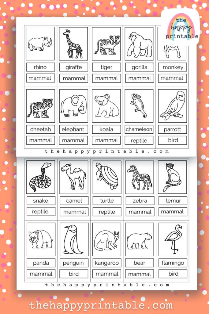 printable zoo animal flashcards the happy printable