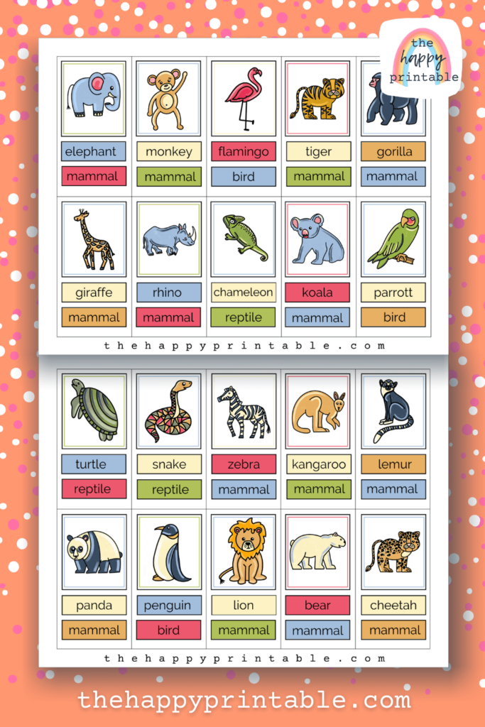 20 printable zoo animal flashcards in full color