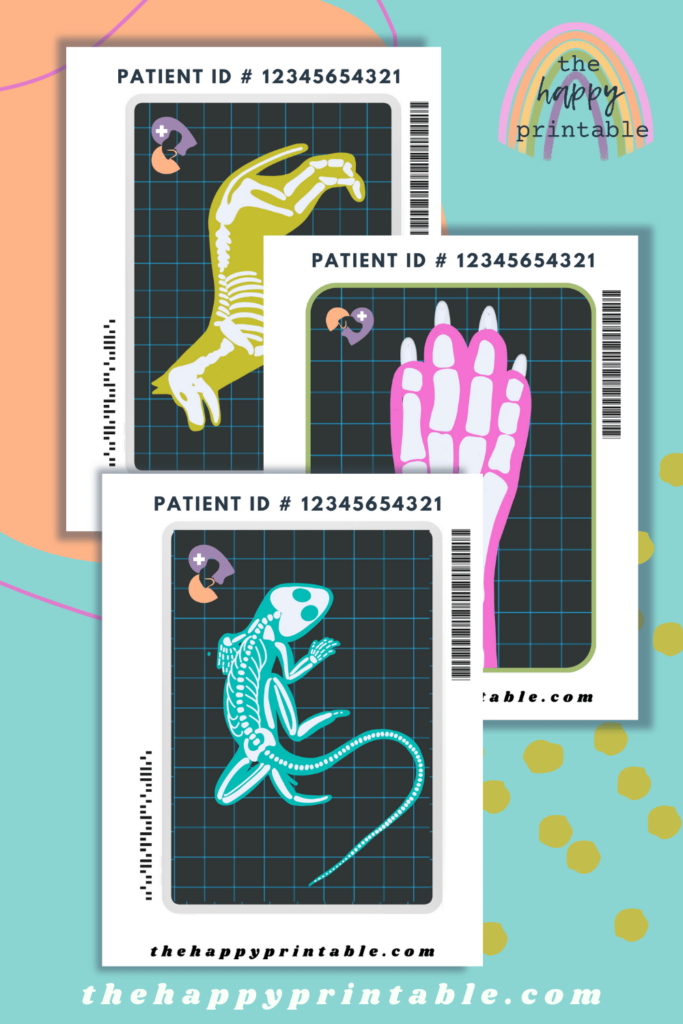 Pretend animal x rays, a vet checklist, pretend invoices and id badges, and more make up these vet office pretend play printables!