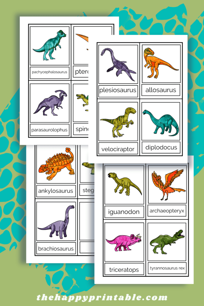 Full color, hand drawn dinosaur flashcards